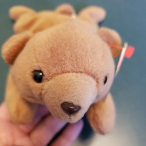 Ty Beanie Baby Cubbie the Brown Bear 🐻